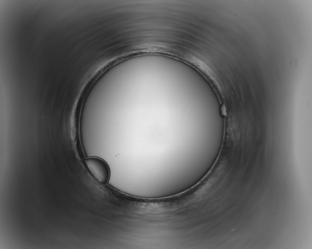 X0000088681082200706141350