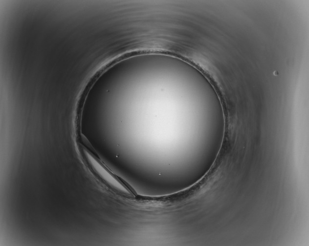 X0000088681085200706141350