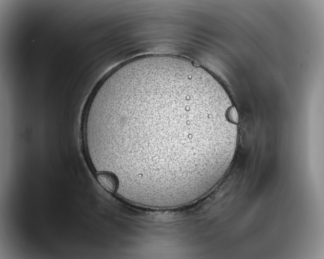 X0000088681087200706141350