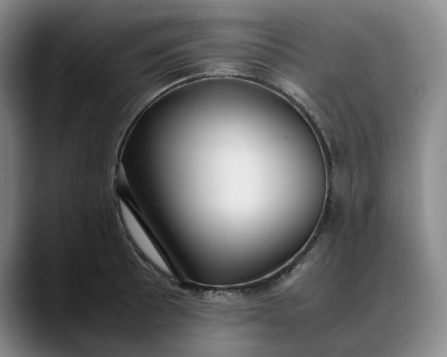 X0000088681089200706141350