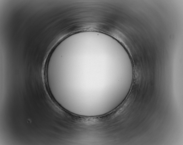 X0000088681090200706141350