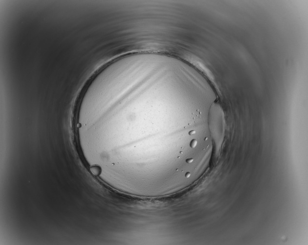 X0000088681091200706141350