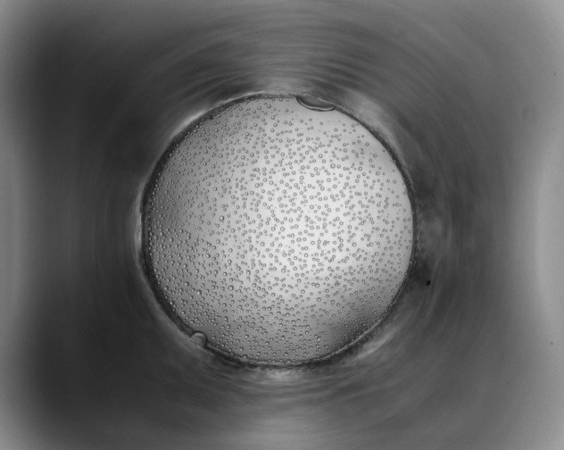 X0000088681095200706141350