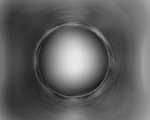 X0000088681101200706141350