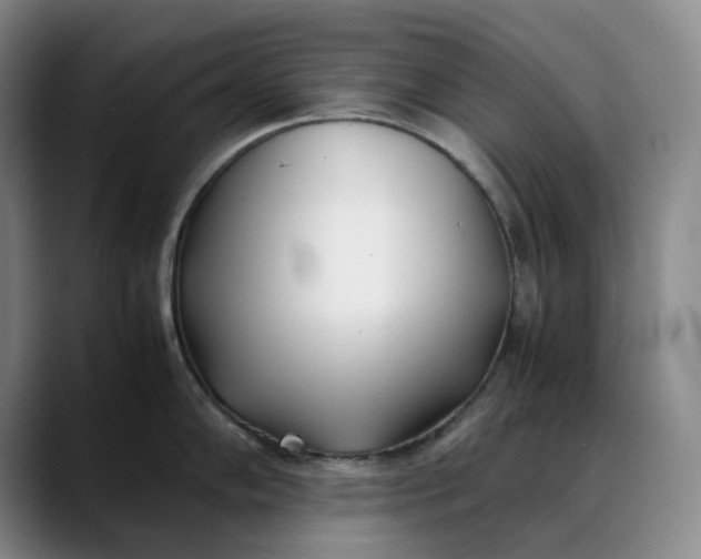 X0000088681102200706141350