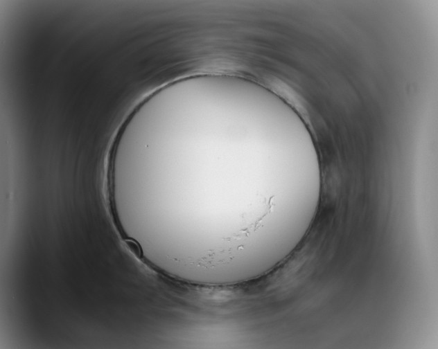 X0000088681103200706141350