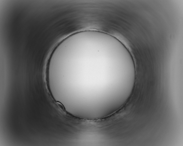 X0000088681104200706141350