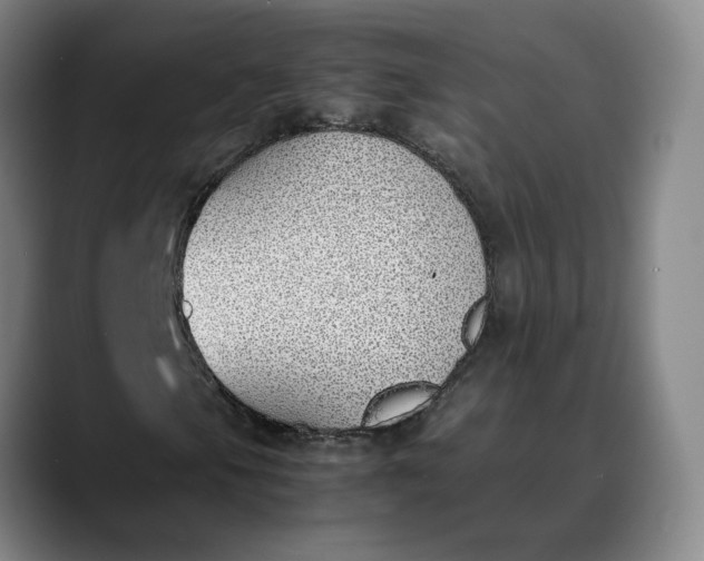X0000088681105200706141349