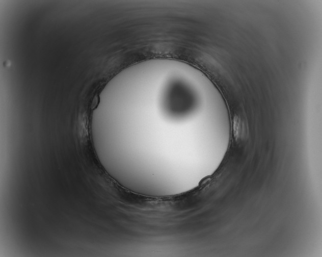 X0000088681107200706141349