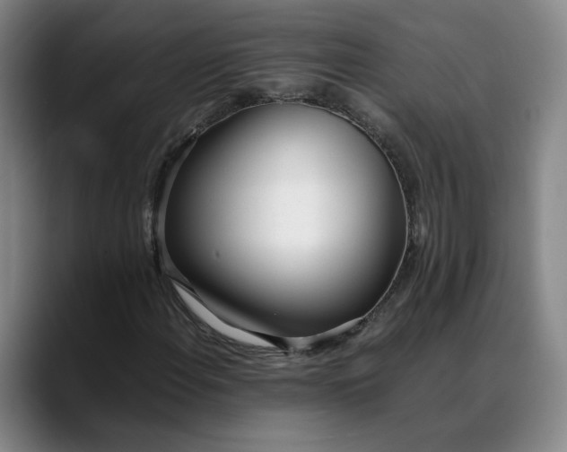 X0000088681108200706141349