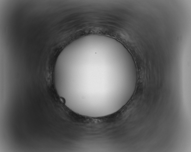 X0000088681109200706141349
