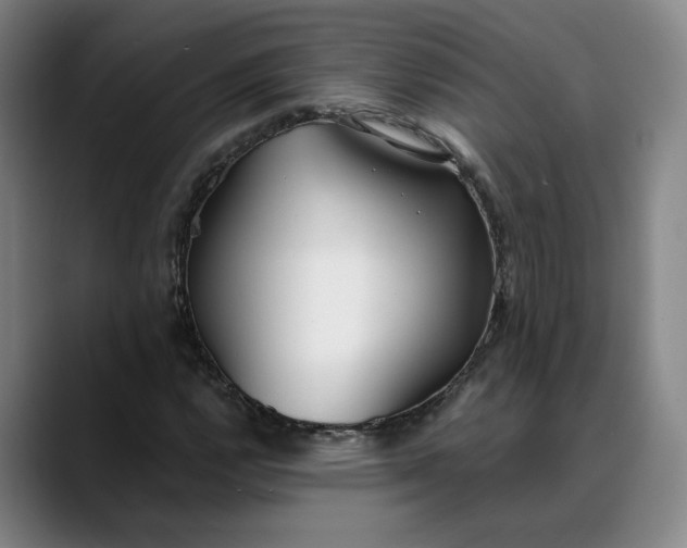 X0000088681112200706141349
