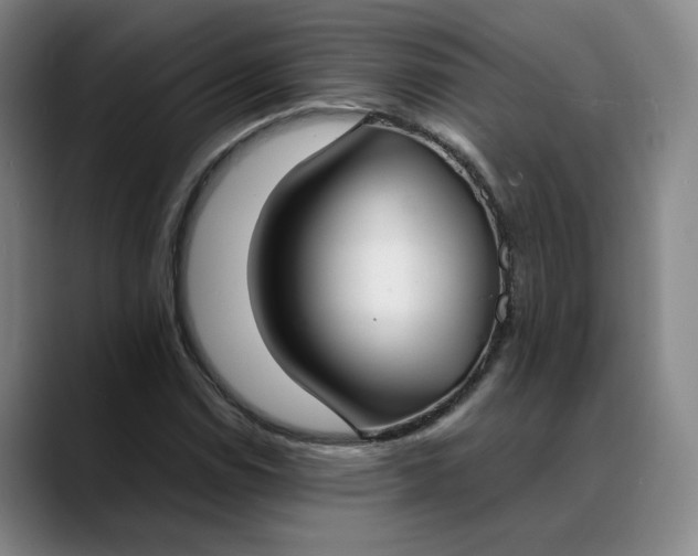 X0000088681114200706141349
