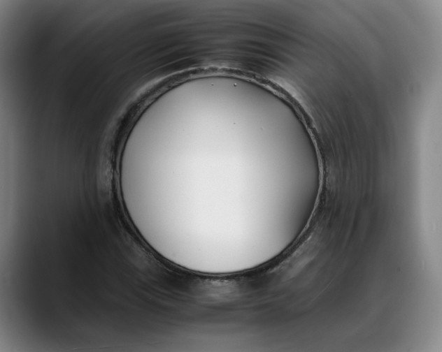 X0000088681115200706141349