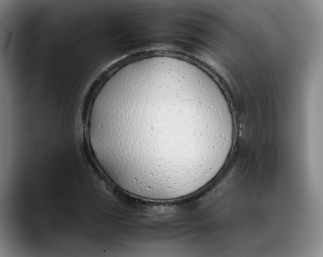 X0000088681117200706141349