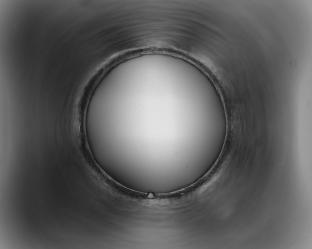 X0000088681118200706141349