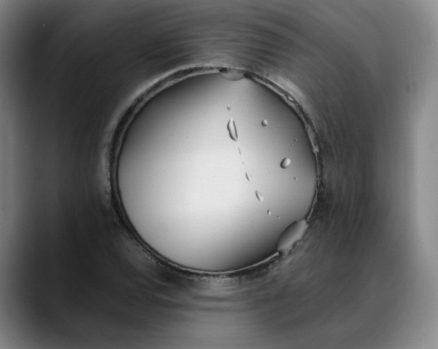 X0000088681120200706141349
