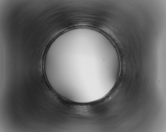X0000088681121200706141349