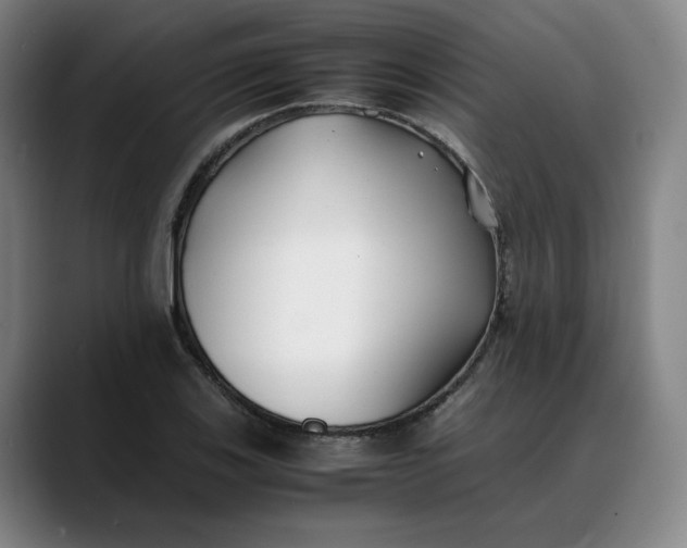 X0000088681123200706141349