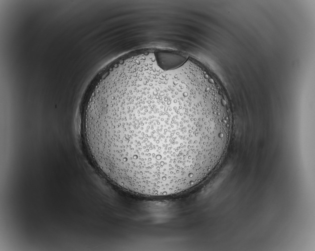 X0000088681125200706141349