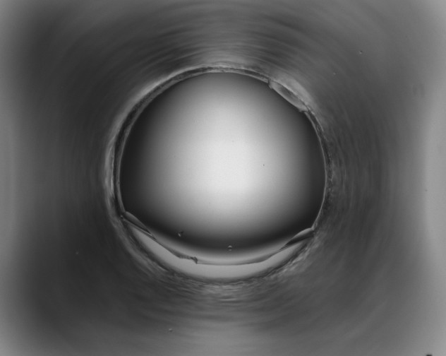 X0000088681128200706141349