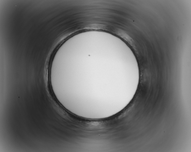 X0000088681130200706141349