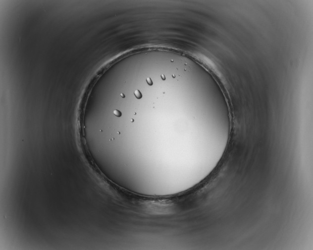X0000088681133200706141349