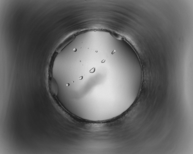 X0000088681134200706141349