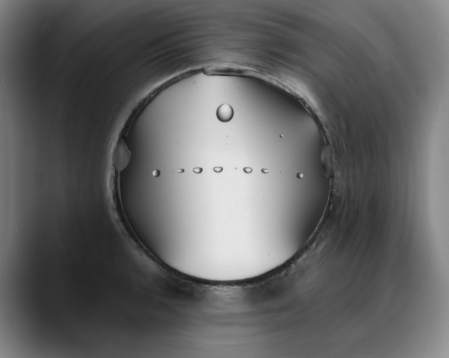 X0000088681136200706141349