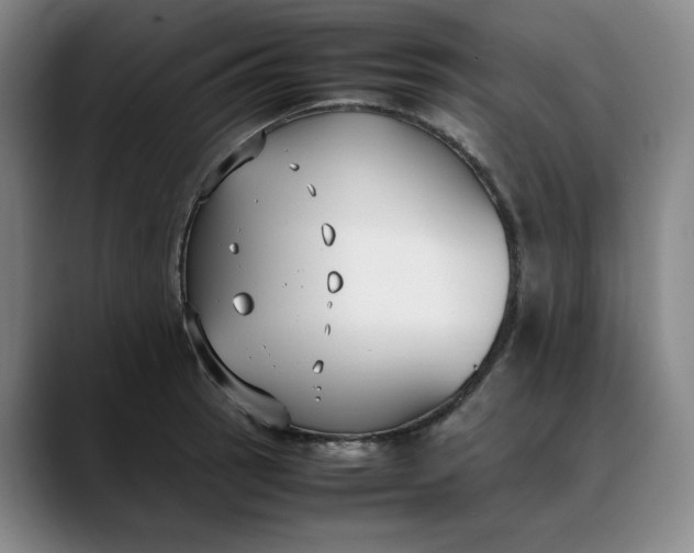 X0000088681137200706141349