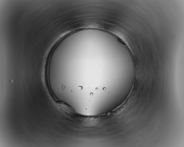 X0000088681139200706141349