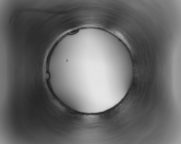 X0000088681140200706141349