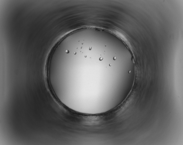 X0000088681141200706141349