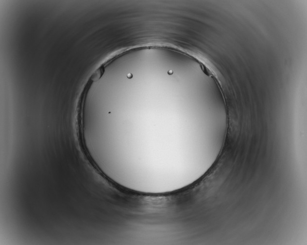 X0000088681142200706141349