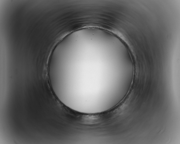 X0000088681145200706141350