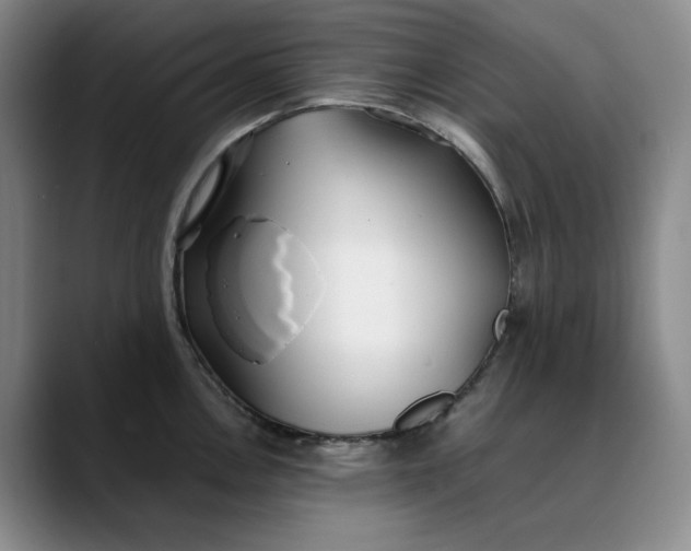 X0000088681146200706141350