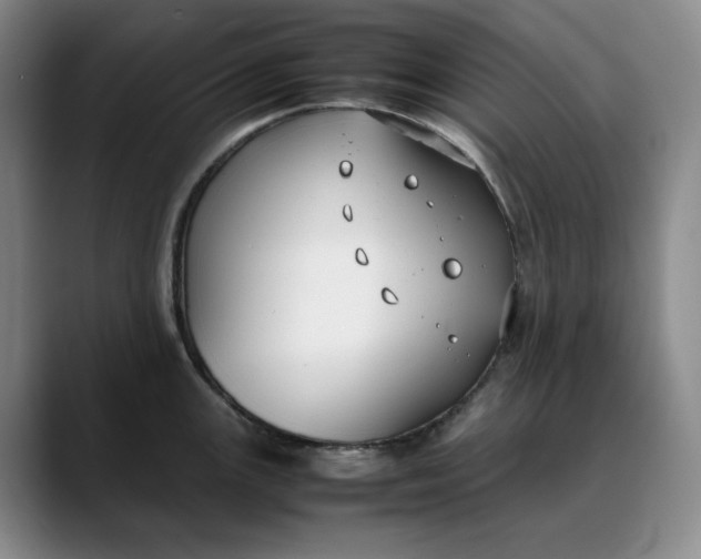 X0000088681147200706141350