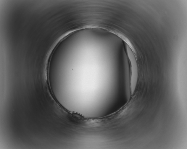 X0000088681148200706141350