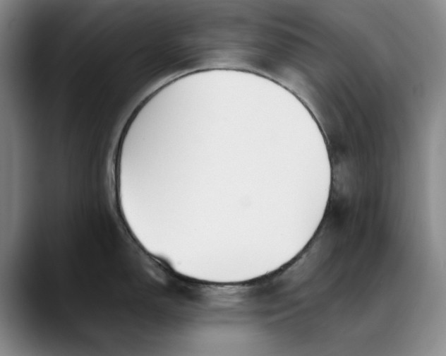 X0000088681150200706141350