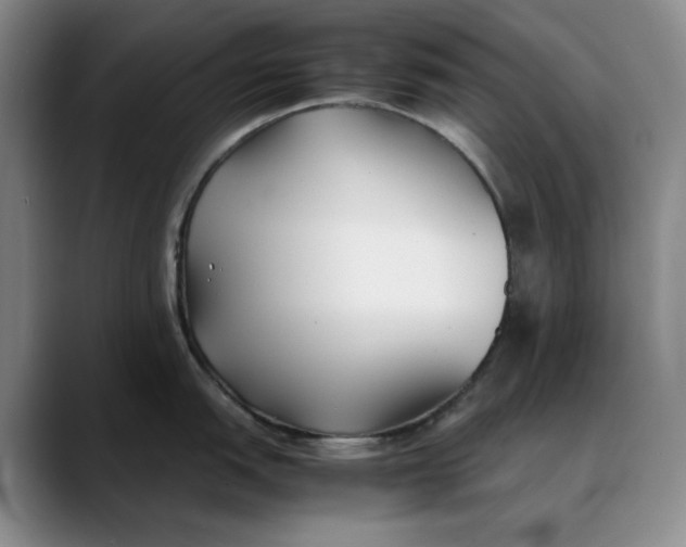 X0000088681151200706141350