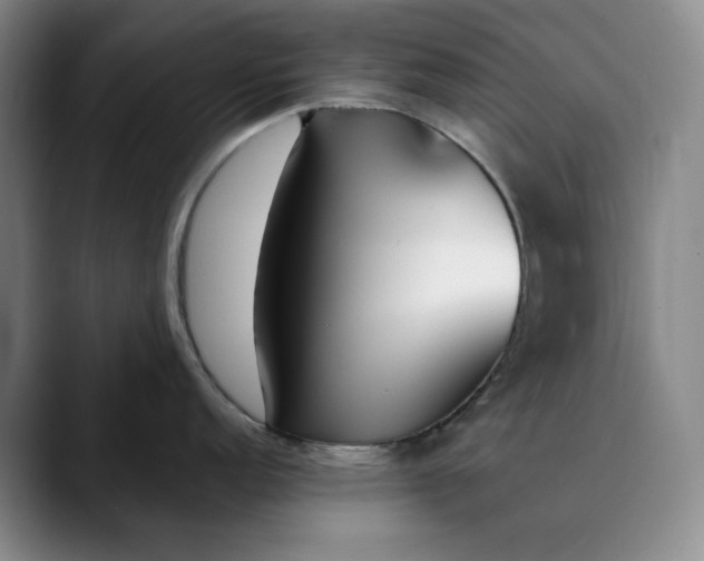 X0000088681152200706141350