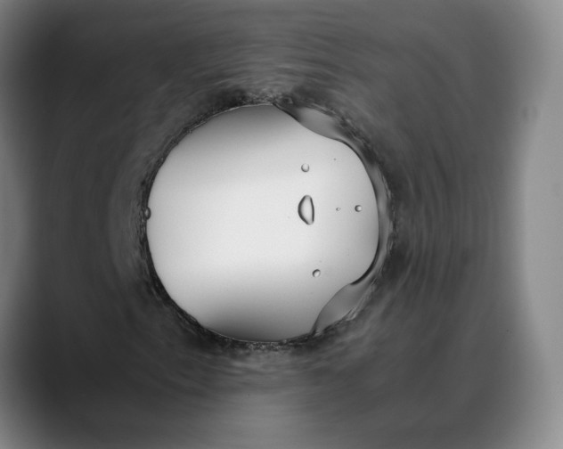 X0000088681153200706141349