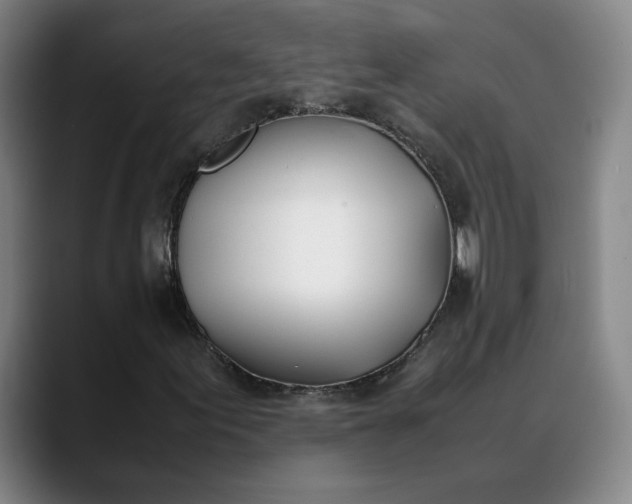 X0000088681155200706141349