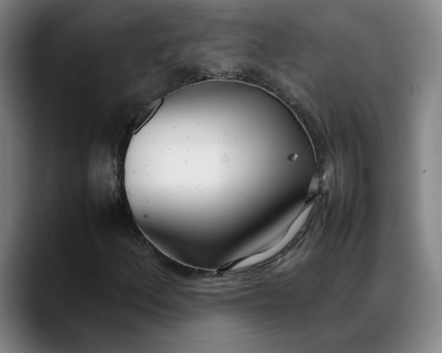 X0000088681156200706141349