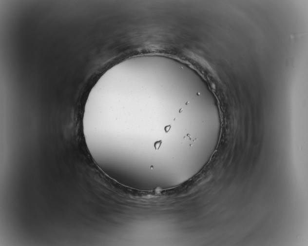 X0000088681160200706141349