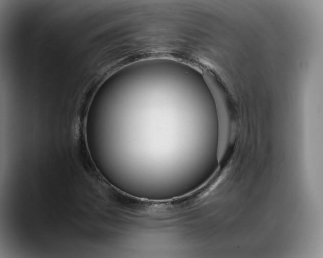 X0000088681161200706141349