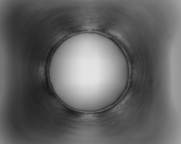 X0000088681162200706141349