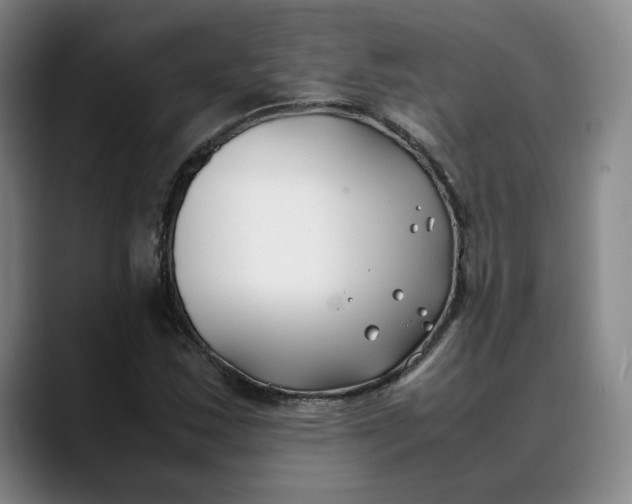 X0000088681163200706141349