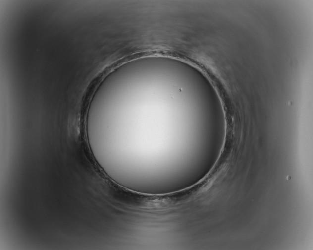 X0000088681165200706141349
