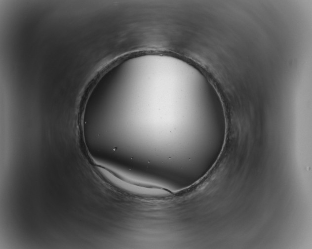 X0000088681168200706141349
